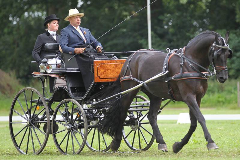 Beesd: Team Great Britain on bronze after dressage